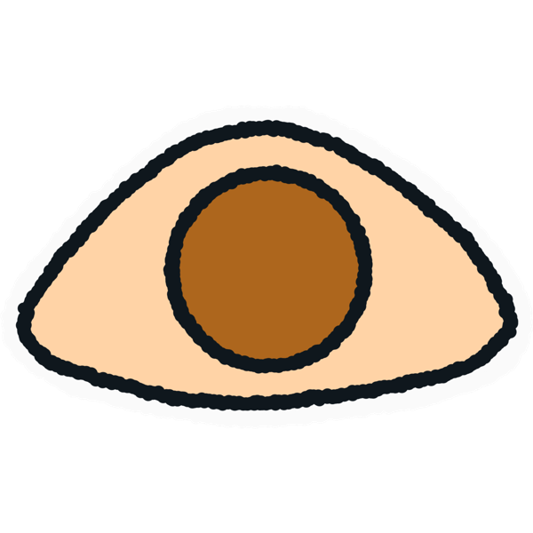 an orange eye